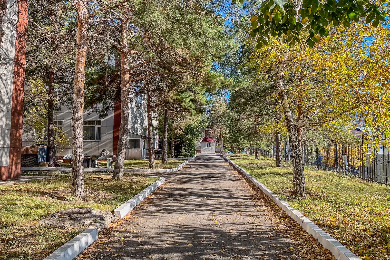 Alley on the grounds